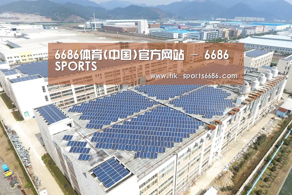 案例展示三