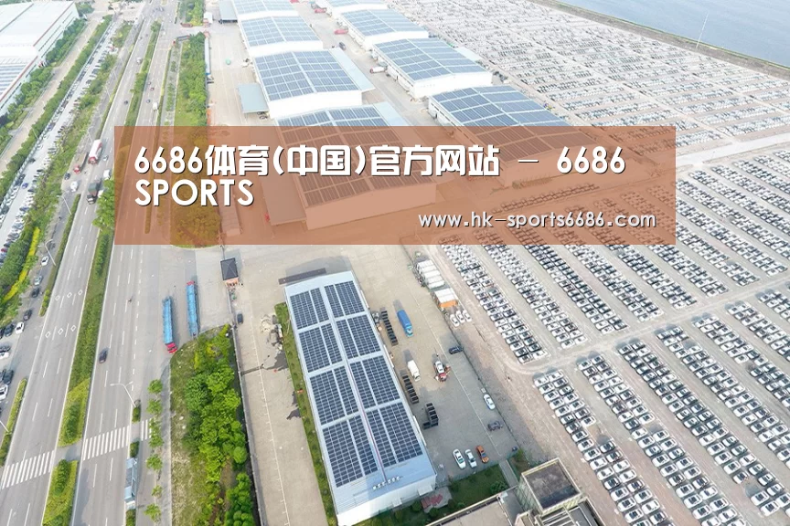 案例展示一