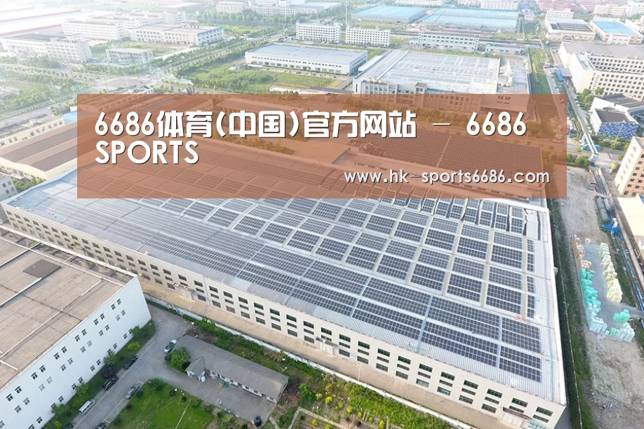 案例展示四
